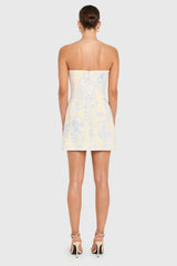 Fae Pink Mini Dress in Somerset